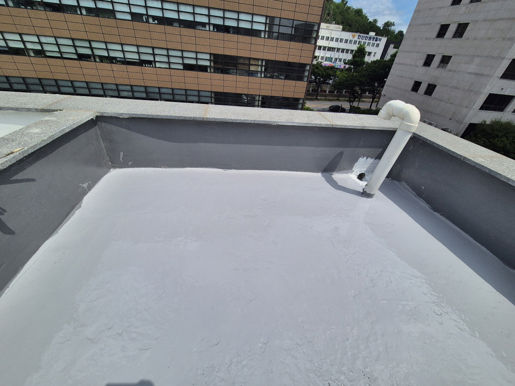 Ŭ���� �̹��� ��â.