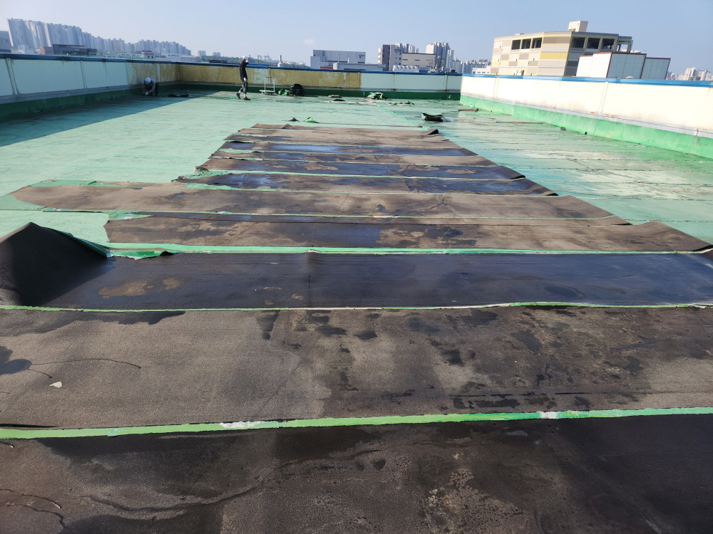 Ŭ���� �̹��� ��â.