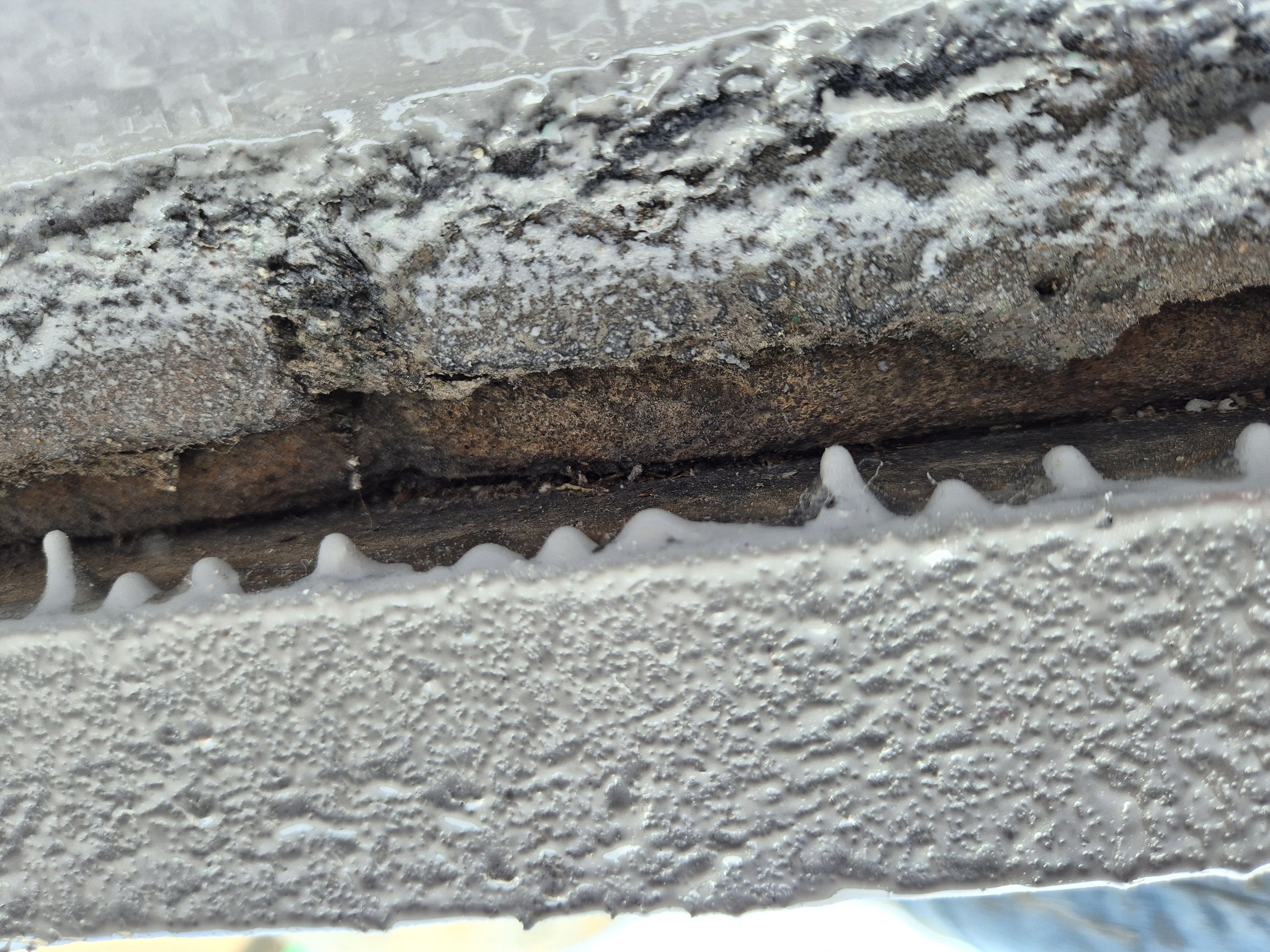 Ŭ���� �̹��� ��â.