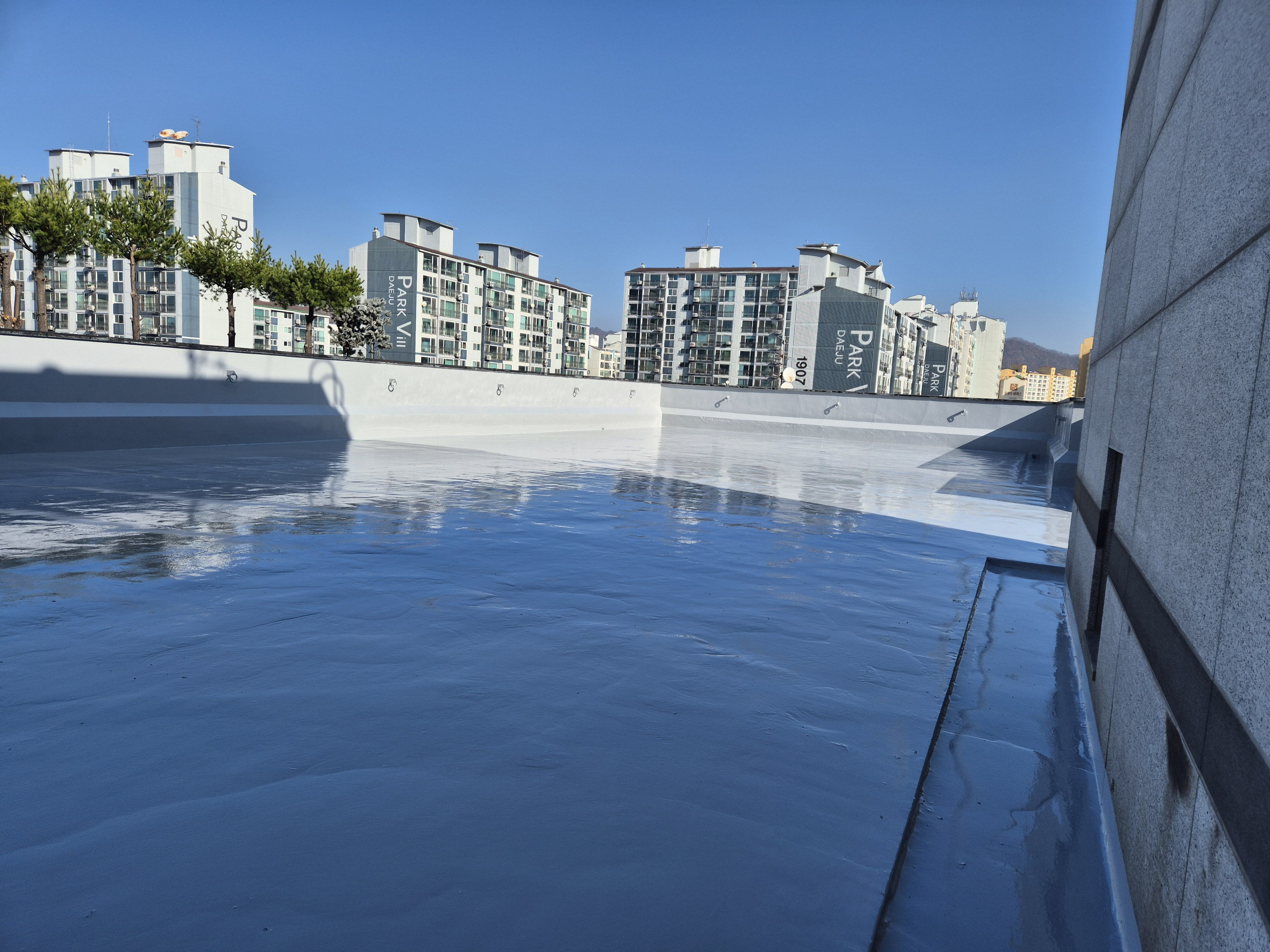 Ŭ���� �̹��� ��â.